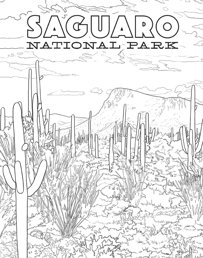 The National Parks Poster Coloring Book