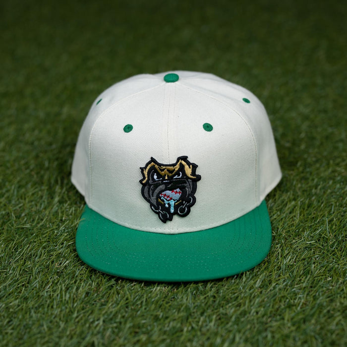RSVLTS The Sandlot Hat The Sandlot "The Beast" – Snapback Cap