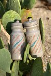 Tomii Desert Oasis Water Bottles