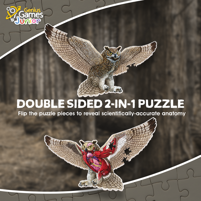 Turn N Learn: Owl Puzzle