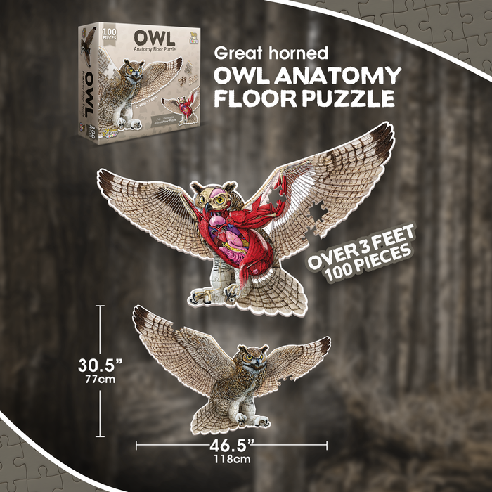 Turn N Learn: Owl Puzzle