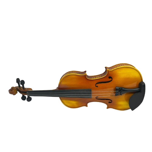 Violin 3/4 ( 1 String Broken)