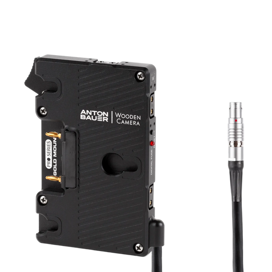 WC Pro Gold Mount (RED® DSMC1™, DSMC2™)