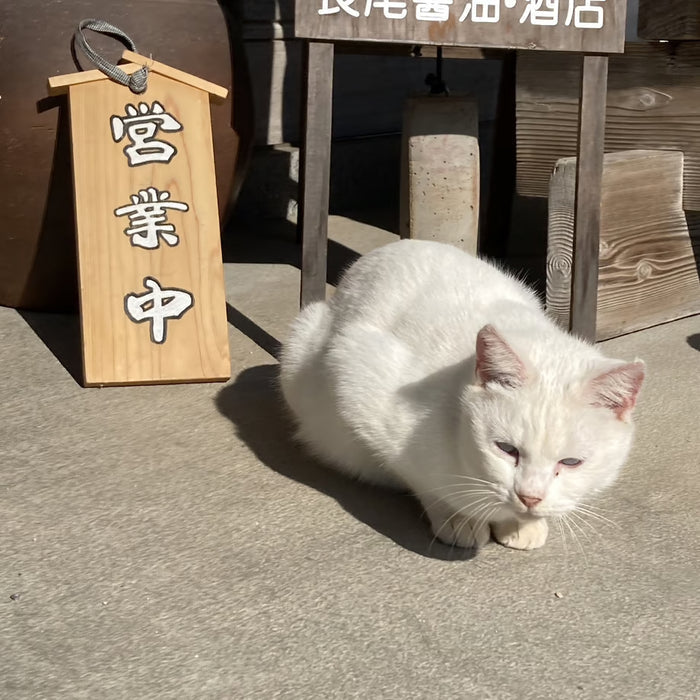 Yuzu Nyanyalade